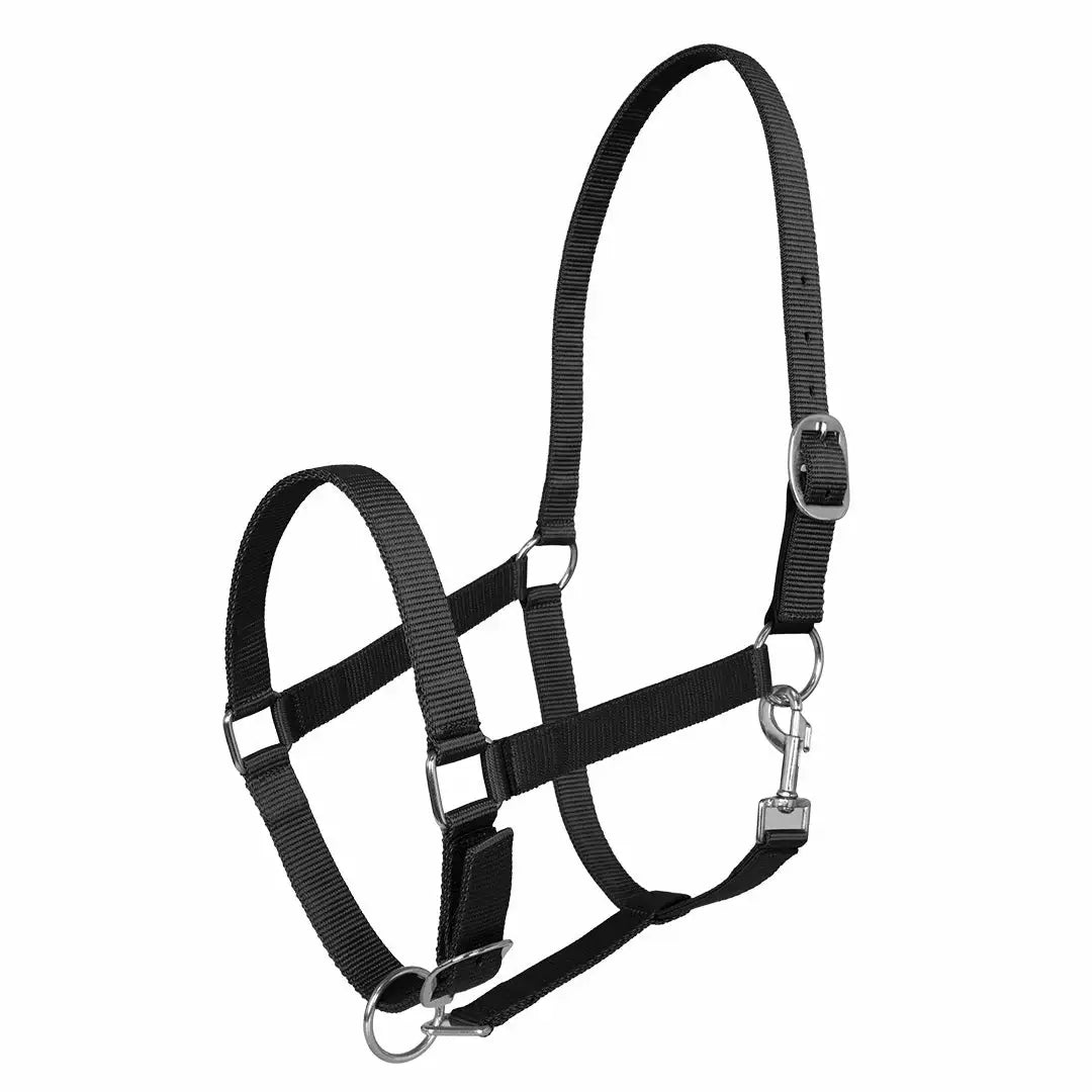 Miller's Adjustable Nylon Halter with Snap and Breakaway Leather - Breeches.com - Flyclothing LLC