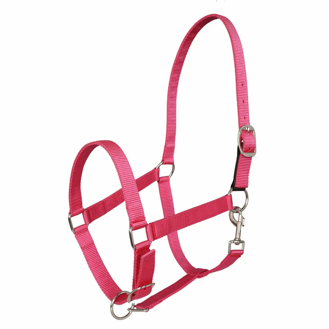 Miller's Adjustable Nylon Halter with Snap and Breakaway Leather - Breeches.com - Flyclothing LLC