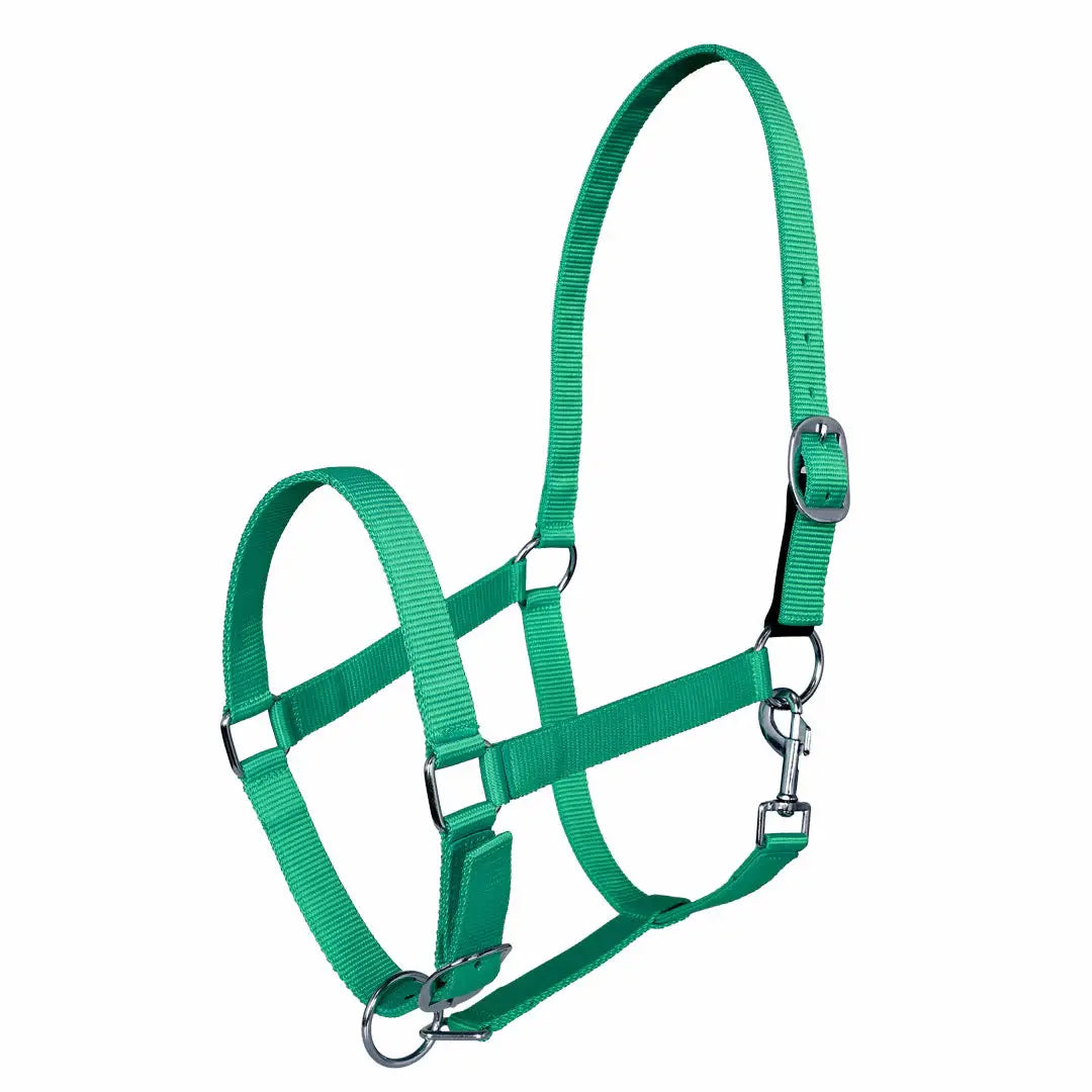Miller's Adjustable Nylon Halter with Snap and Breakaway Leather - Breeches.com - Flyclothing LLC