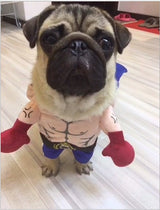 Boxer Cat Costume - My Store - Flyclothing LLC