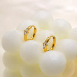 Stainless Steel Zircon Hoop Earrings - Trendsi - Flyclothing LLC