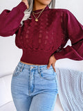 Openwork Mock Neck Long Sleeve Cropped Sweater - Trendsi