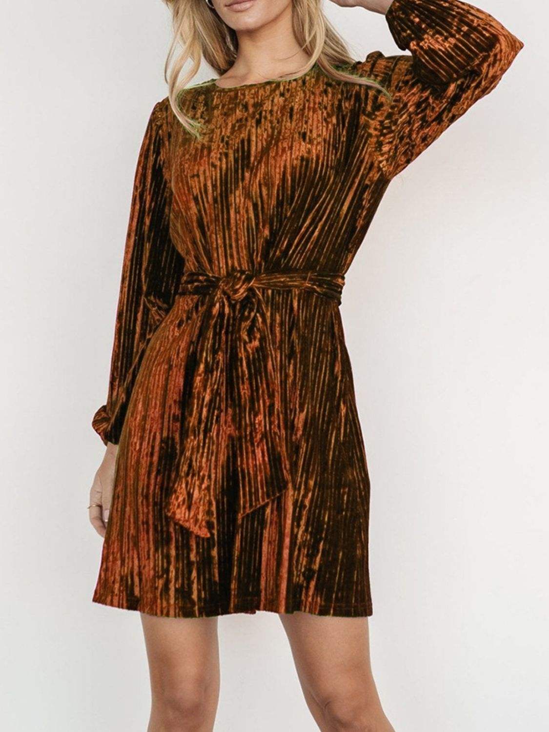 Velvet Round Neck Tie Waist Long Sleeve Mini Dress - Trendsi - Flyclothing LLC