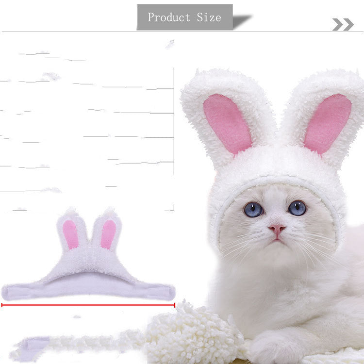 Lion Turns Into Halloween Ghost Pet - My Store - Flyclothing LLC
