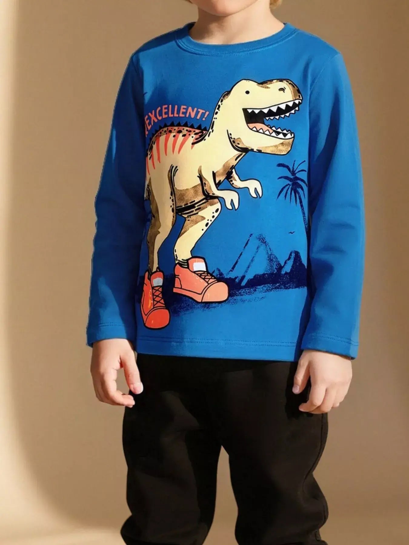 Children's Dinosaur Graphic Long Sleeve Crew Neck T-Shirt - Trendsi - Flyclothing LLC