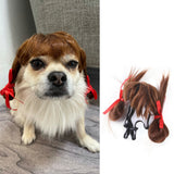Halloween Christmas Wig Pet Hair Accessories - My Store - Flyclothing LLC
