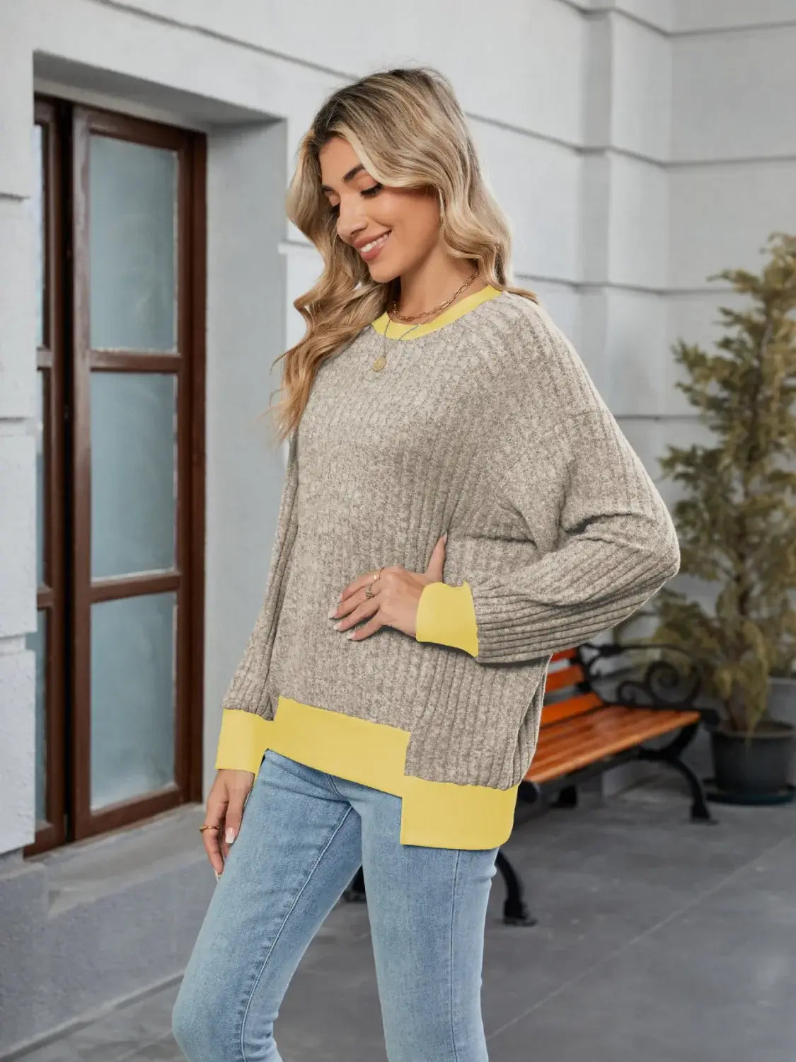 Contrast Trim Round Neck Long Sleeve T-Shirt - Trendsi - Flyclothing LLC
