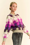 Davi & Dani Checkered Round Neck Long Sleeve Sweater - Trendsi - Flyclothing LLC