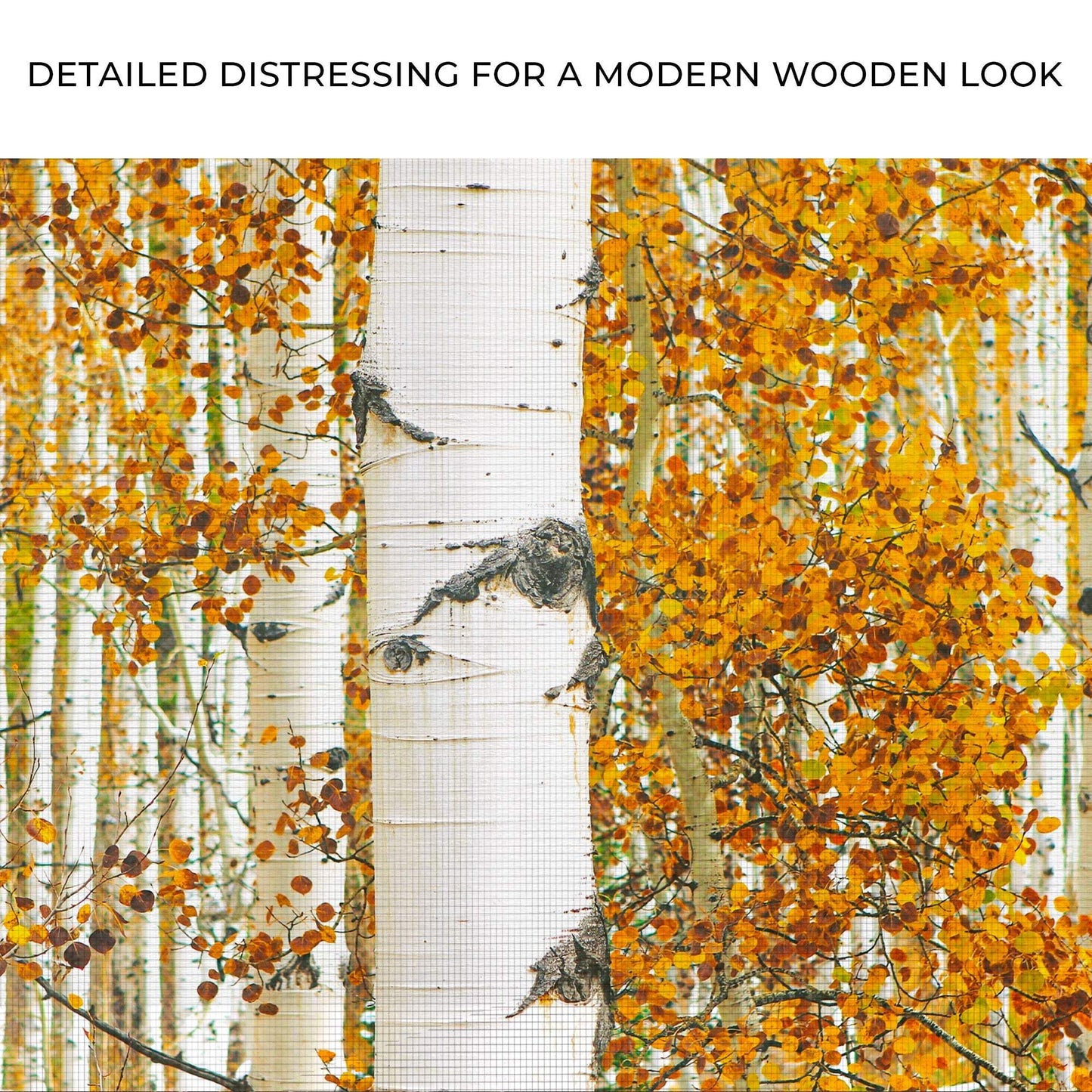 Autumn Tree Barks Canvas Wall Art - Tailored Canvases - Flyclothing LLC