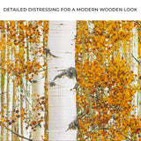 Autumn Tree Barks Canvas Wall Art - Tailored Canvases - Flyclothing LLC