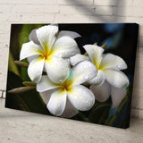 White Frangipani Flower Canvas Wall Art - Tailored Canvases - Flyclothing LLC