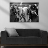 Black And White Baby Goats Canvas Wall Art - Tailored Canvases - Flyclothing LLC
