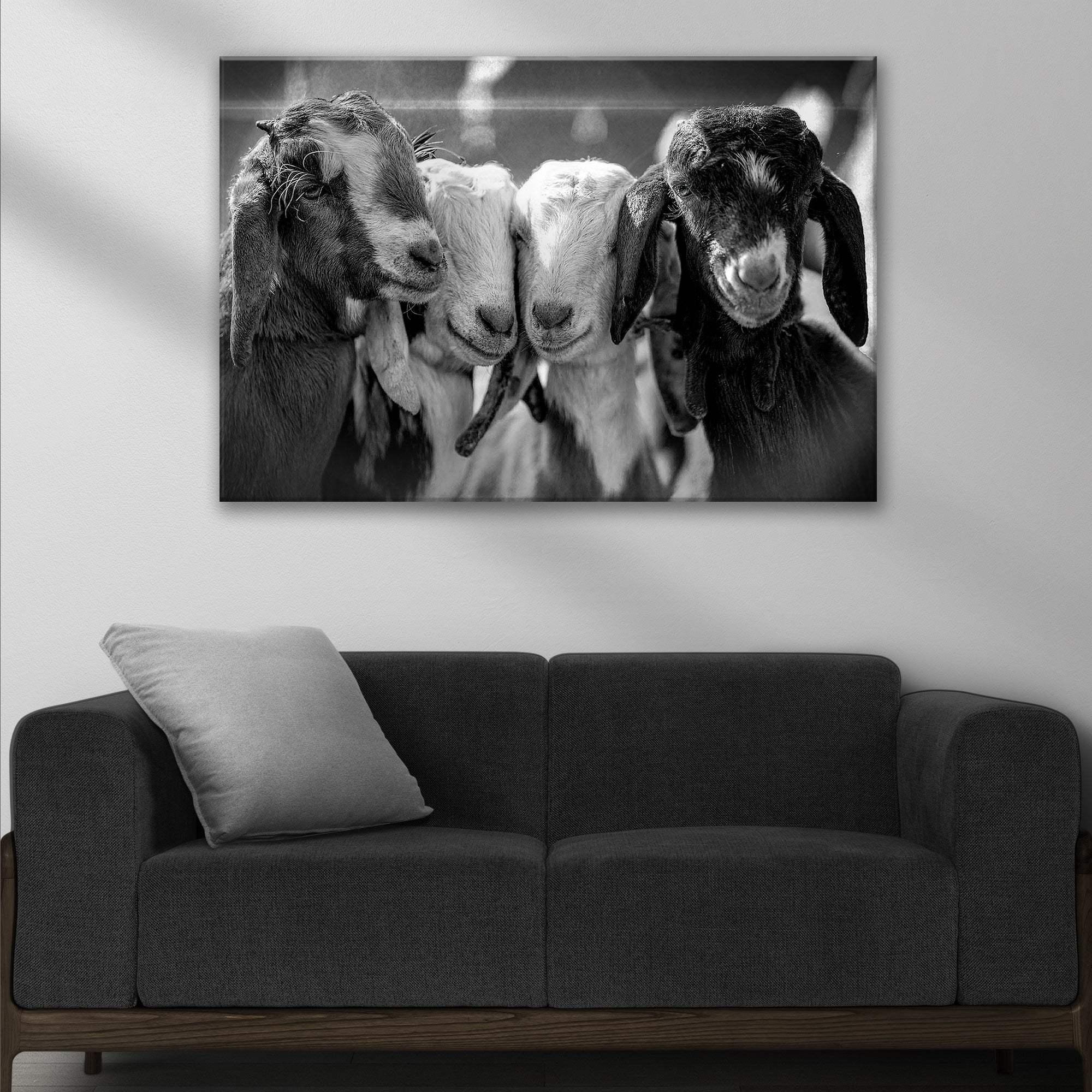 Black And White Baby Goats Canvas Wall Art - Tailored Canvases - Flyclothing LLC