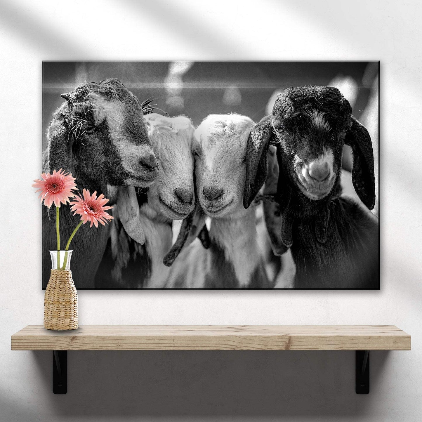 Black And White Baby Goats Canvas Wall Art - Tailored Canvases - Flyclothing LLC