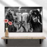 Black And White Baby Goats Canvas Wall Art - Tailored Canvases - Flyclothing LLC