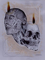 Black Market Art Company Anatomy 101 Print