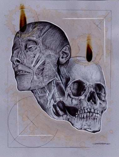 Black Market Art Company Anatomy 101 Print - Black Market Art Company - Flyclothing LLC