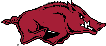 NCAA University of Arkansas, Tusk the Razorback Knottie® Plush Dog Toy - HuggleHounds - Flyclothing LLC