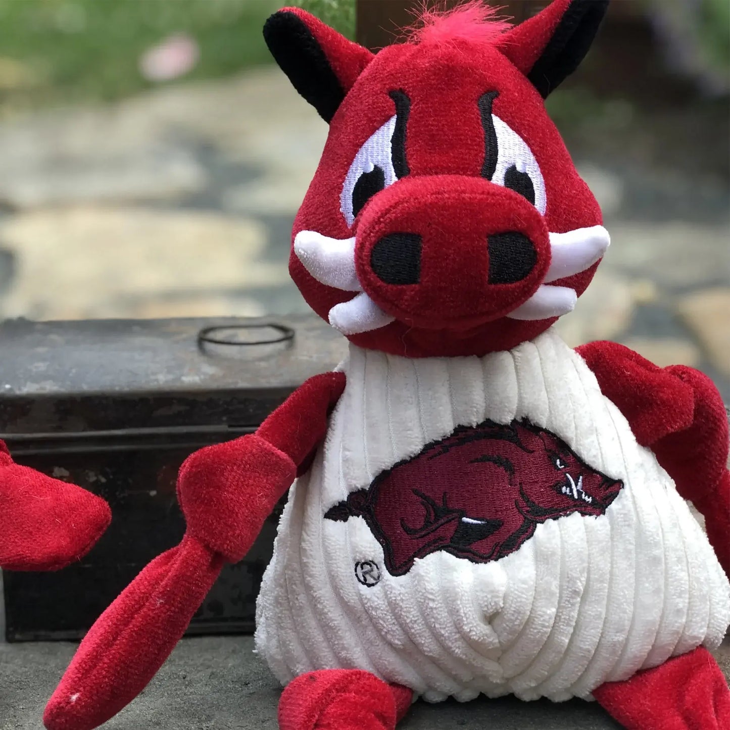 NCAA University of Arkansas, Tusk the Razorback Knottie® Plush Dog Toy - HuggleHounds - Flyclothing LLC