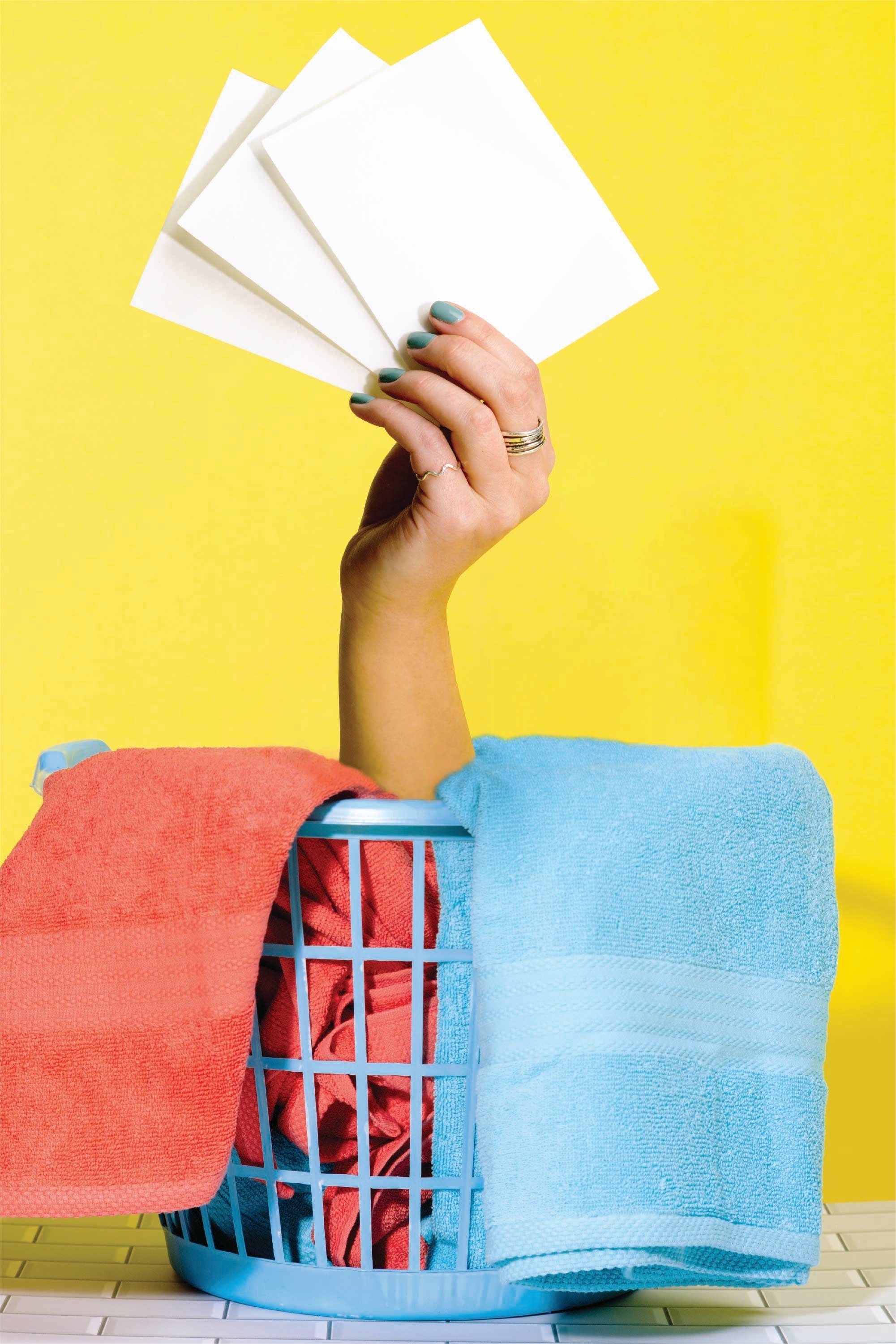 The Full Of Sheet | Boulder Breeze Eco-Laundry Detergent Strips - Shinesty