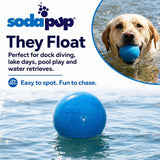 Glitter Ball 3-Pack Dog Toy | Soft PUP-X Rubber Floating Fetch Ball with Treat Dispenser | USA Made - SodaPup/True Dogs, LLC - Flyclothing LLC