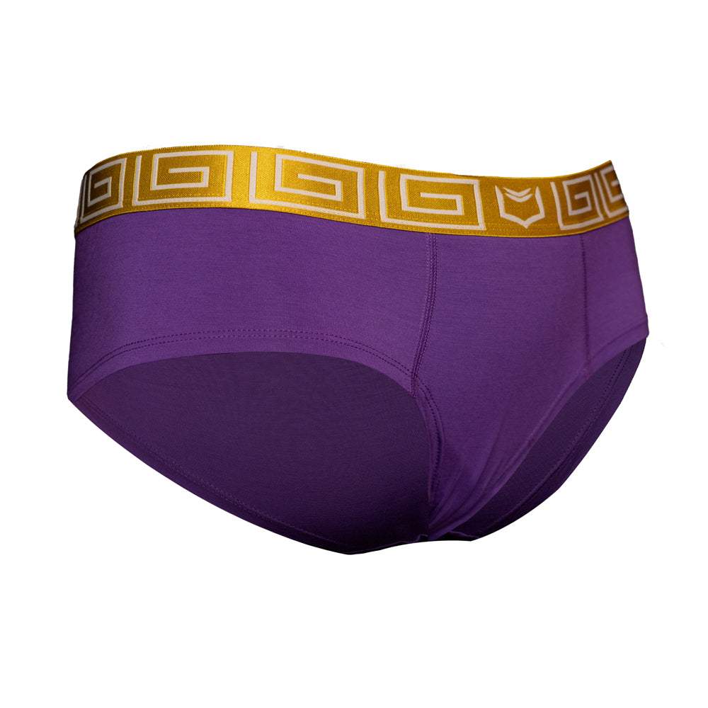 SHEATH Women's Modal Cheeky Boyshorts - SHEATH UNDERWEAR - Flyclothing LLC