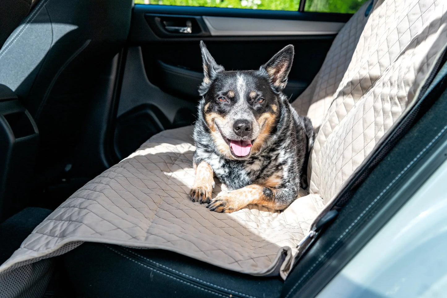 TuffutLuxx® Vehicle Protectors for Travel - HuggleHounds - Flyclothing LLC