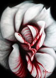 Black Market Art Company Rose Blood Print