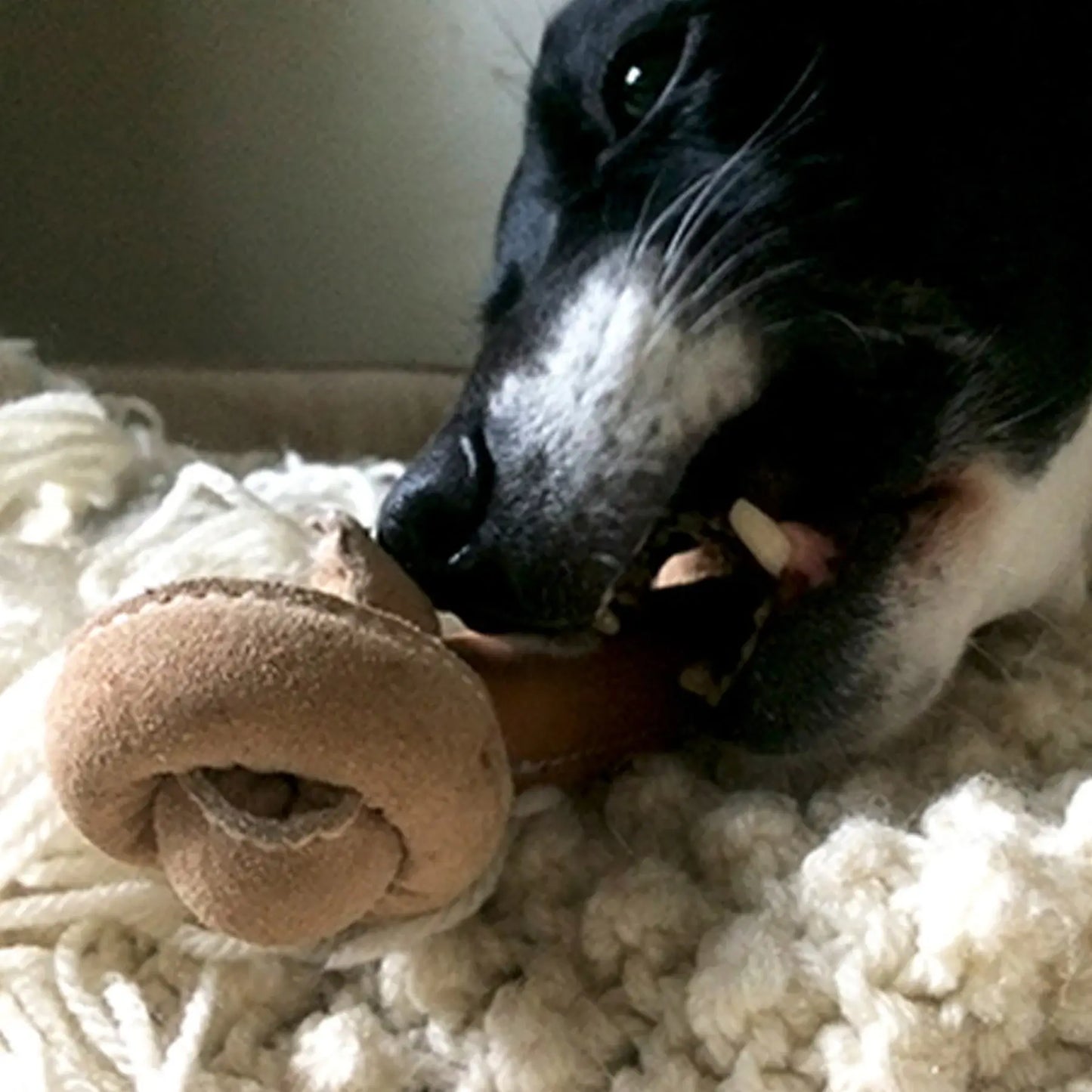 Huggle-Hide® Natural Leather Bone Dog Toy, 3 Pack - HuggleHounds - Flyclothing LLC