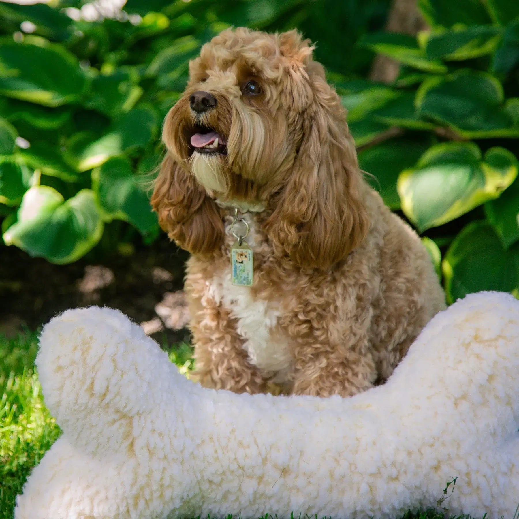 HuggleFleece® 2' Plush Bone Dog Toy - HuggleHounds - Flyclothing LLC