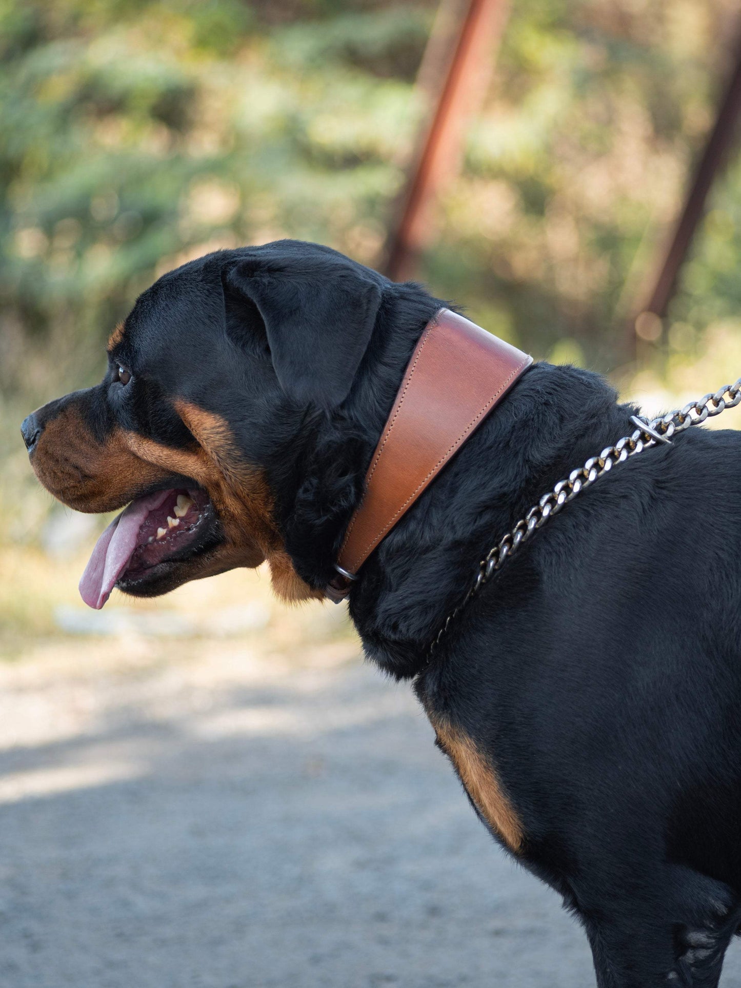Oval Leather Dog Collar - Tan - Classy Leather Bags - Flyclothing LLC