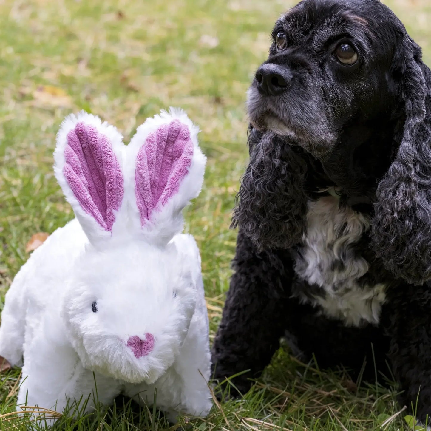 Squooshie™ Bunny Plush Dog Toy - HuggleHounds - Flyclothing LLC