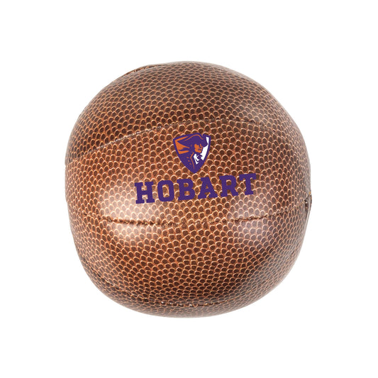 Hobart and William Smith Colleges Micro Soft Basketball - Logo Brands - Flyclothing LLC