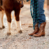 TuffRider Youth Sequoia Cross & Wing Embroidered Square Toe Western Boots - Breeches.com - Flyclothing LLC