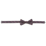 Mardi Gras Stripe Bow Tie - Cufflinks.com - Flyclothing LLC