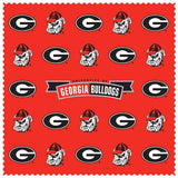 Georgia Bulldogs Microfiber Cleaning Cloth