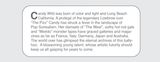 Black Market Art Company Ghouls Rush In & Stretched Canvas Coffin Print - Black Market Art Company - Flyclothing LLC