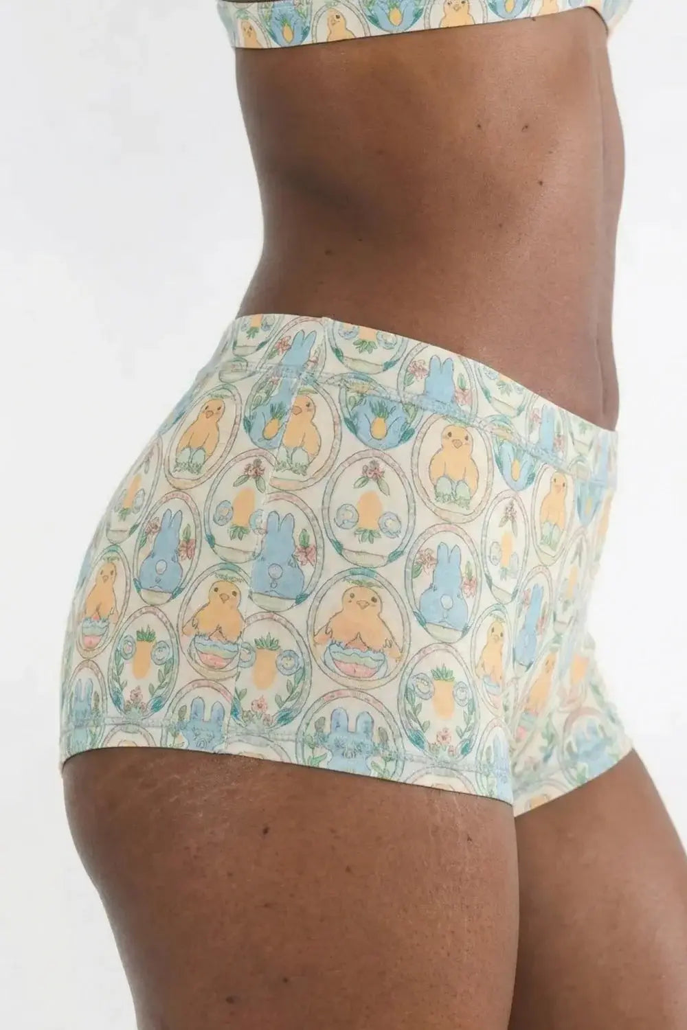 The Chicks Dig It | Pastel Easter Modal Boyshort Underwear - Shinesty - Flyclothing LLC