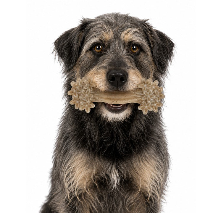 Daisy Bone Nylon Dog Toy for Aggressive Chewers | Durable | USA Made - SodaPup/True Dogs, LLC - Flyclothing LLC