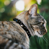 Cat Collar Breakaway - Flying Mallards Black - Buckle-Down - Flyclothing LLC