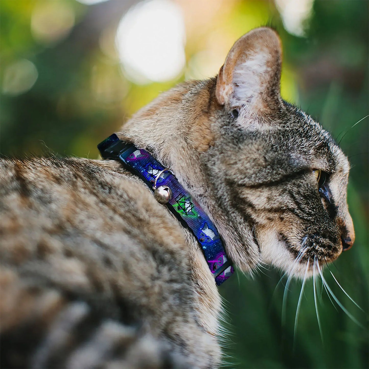 Cat Collar Breakaway - Laser Eye Cats in Space - Buckle-Down - Flyclothing LLC