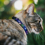 Cat Collar Breakaway - Laser Eye Cats in Space - Buckle-Down - Flyclothing LLC