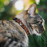 Cat Collar Breakaway - Rings Camo Burnt Orange Yellow - Buckle-Down - Flyclothing LLC