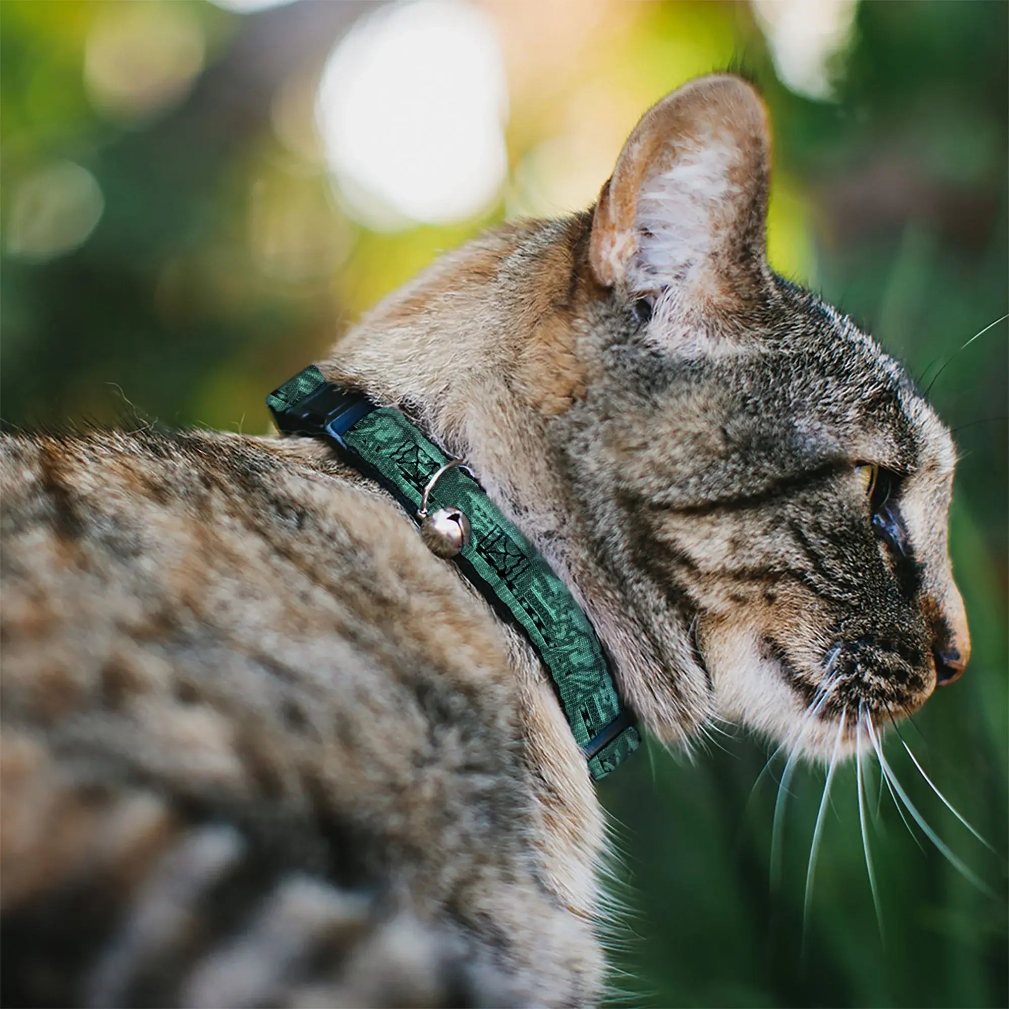 Cat Collar Breakaway - Cali License Plates Stacked - Buckle-Down - Flyclothing LLC