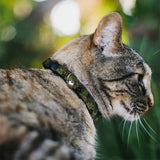 Cat Collar Breakaway - Camo Olive Skull Yard