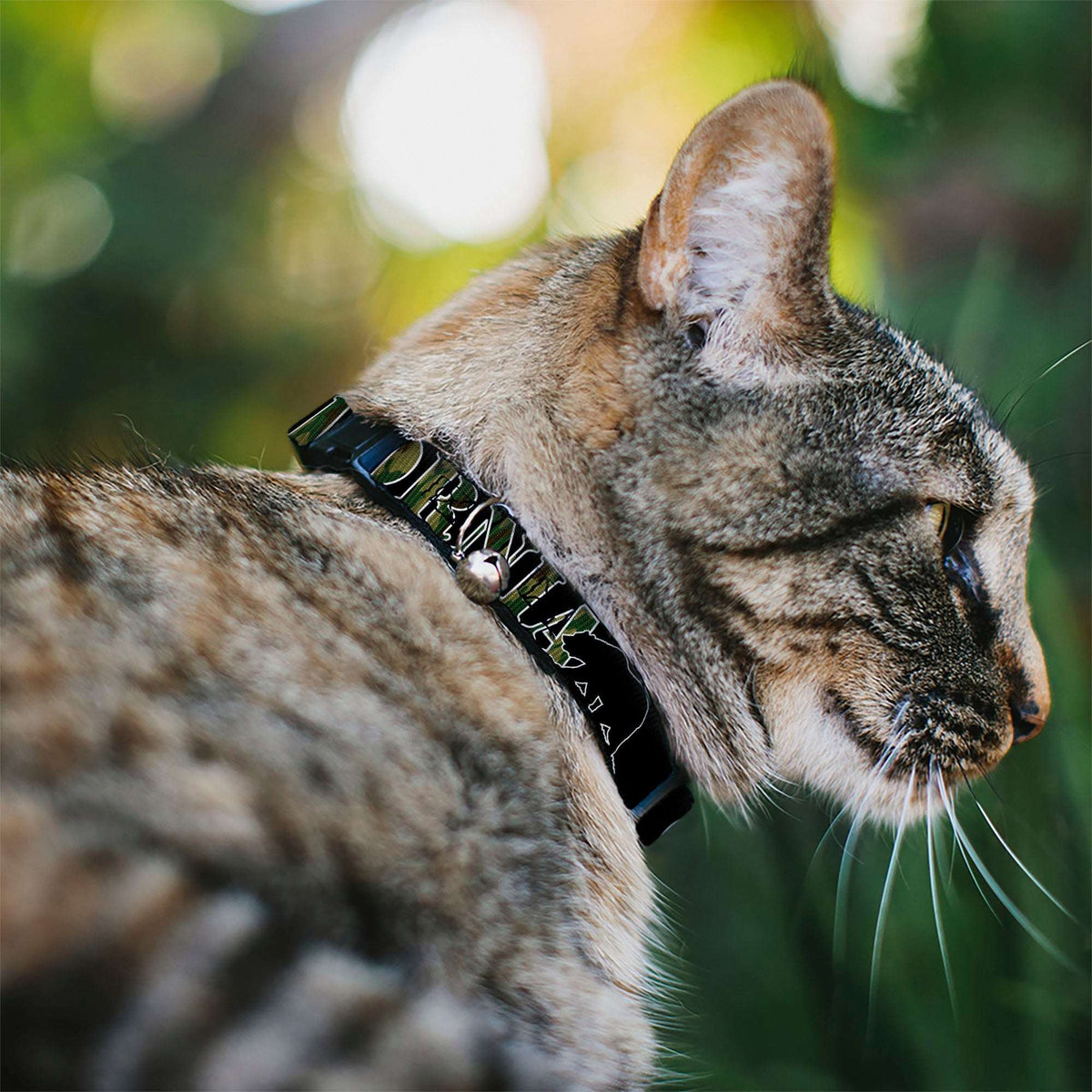 Cat Collar Breakaway - CALIFORNIA Bear Silhouette Black Camo Olive - Buckle-Down - Flyclothing LLC