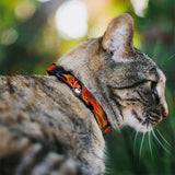 Cat Collar Breakaway - Camo Oranges Black