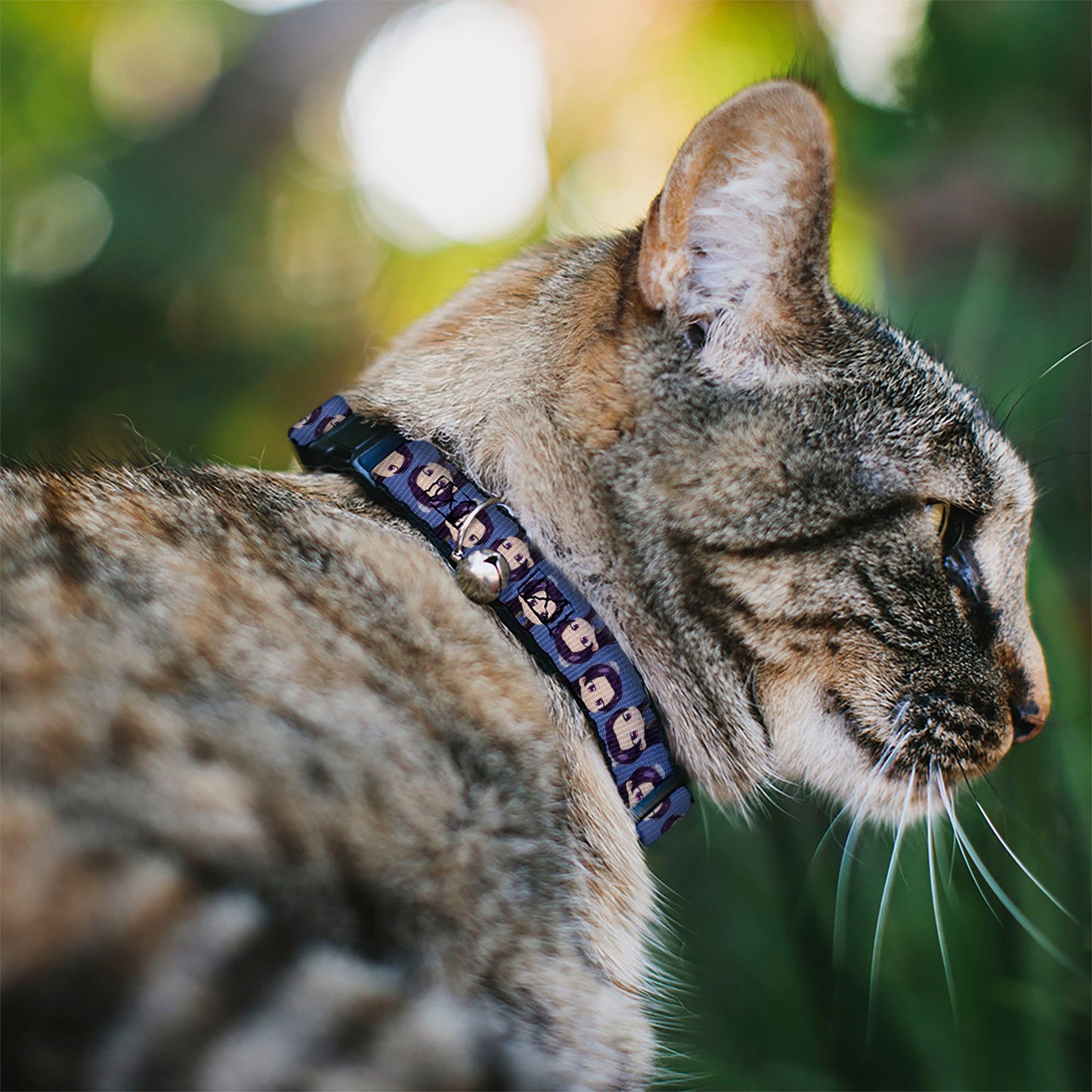Breakaway Cat Collar with Bell - The Apothecary Diaries Chibi Jinshi Flip Pose Blue
