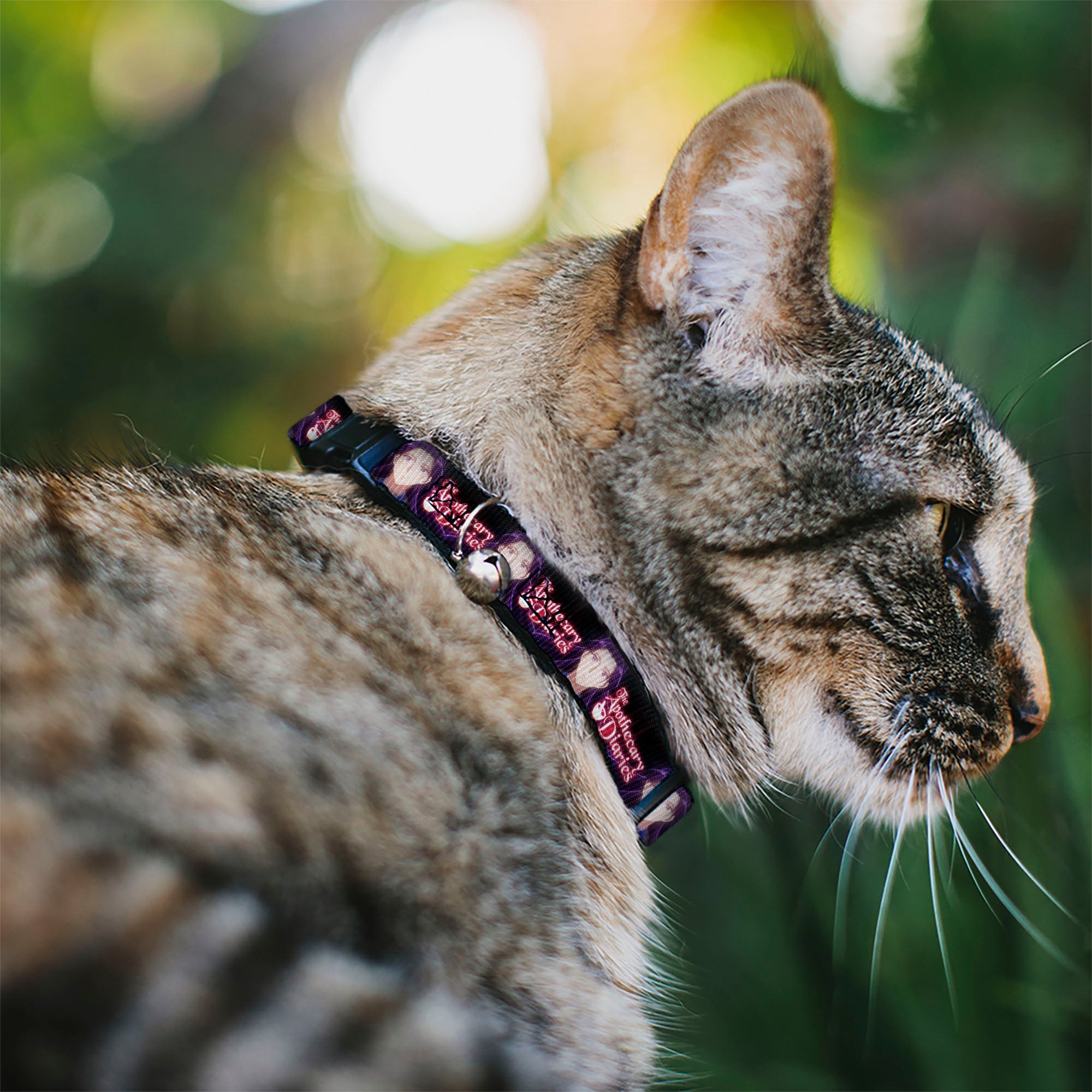 Breakaway Cat Collar with Bell - THE APOTHECARY DIARIES Jinshi Pose and Title Logo Black