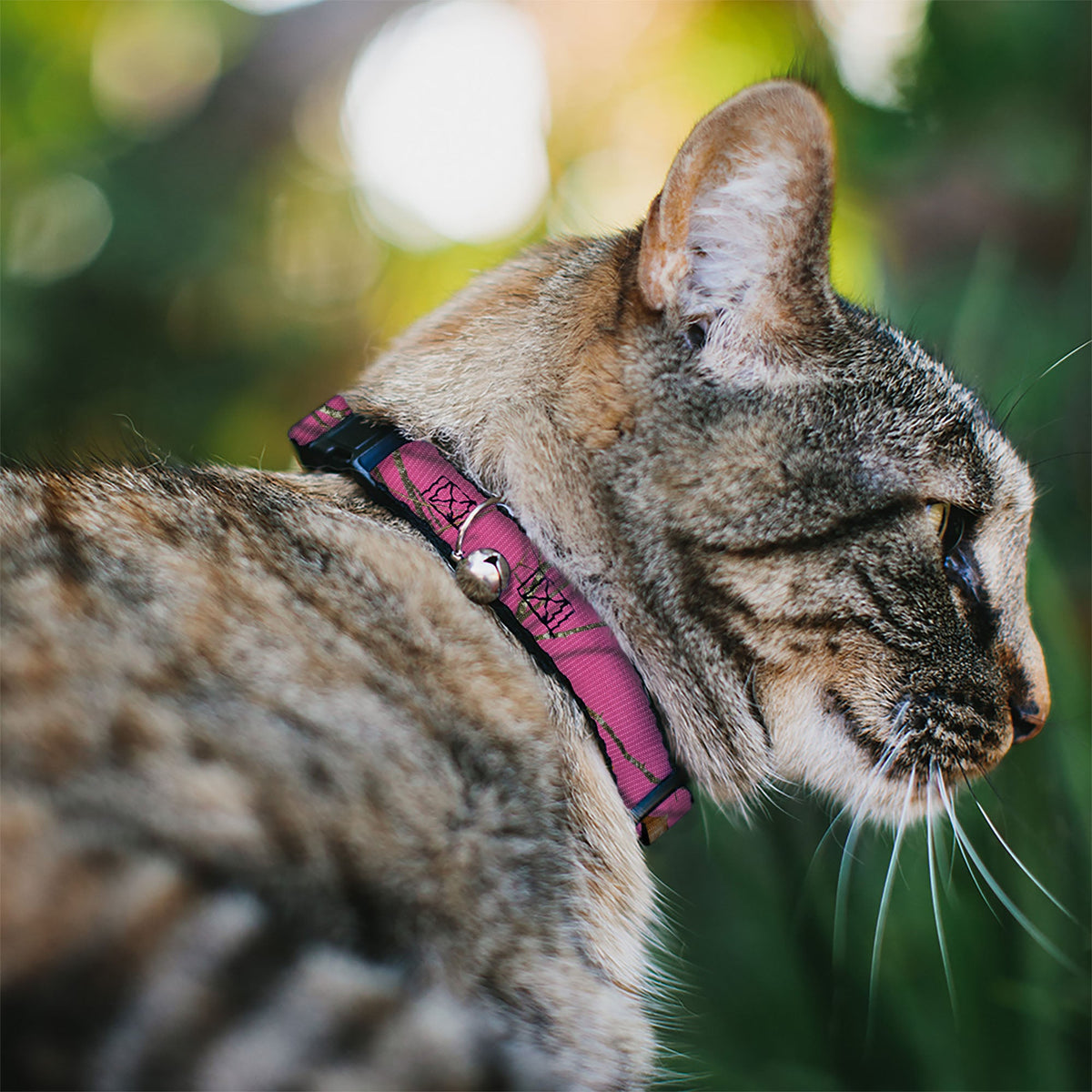 Cat Collar Breakaway - Mossy Oak Country Roots Camo Fuchsia - Buckle-Down - Flyclothing LLC